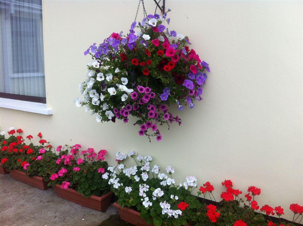 Hillview Self Catering Apartment Lusk Екстериор снимка