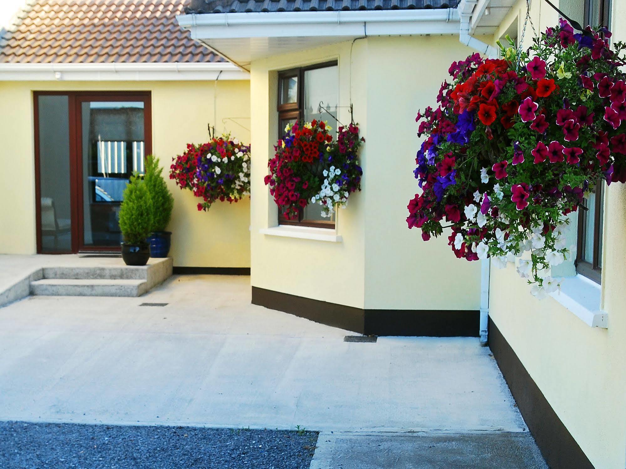 Hillview Self Catering Apartment Lusk Екстериор снимка